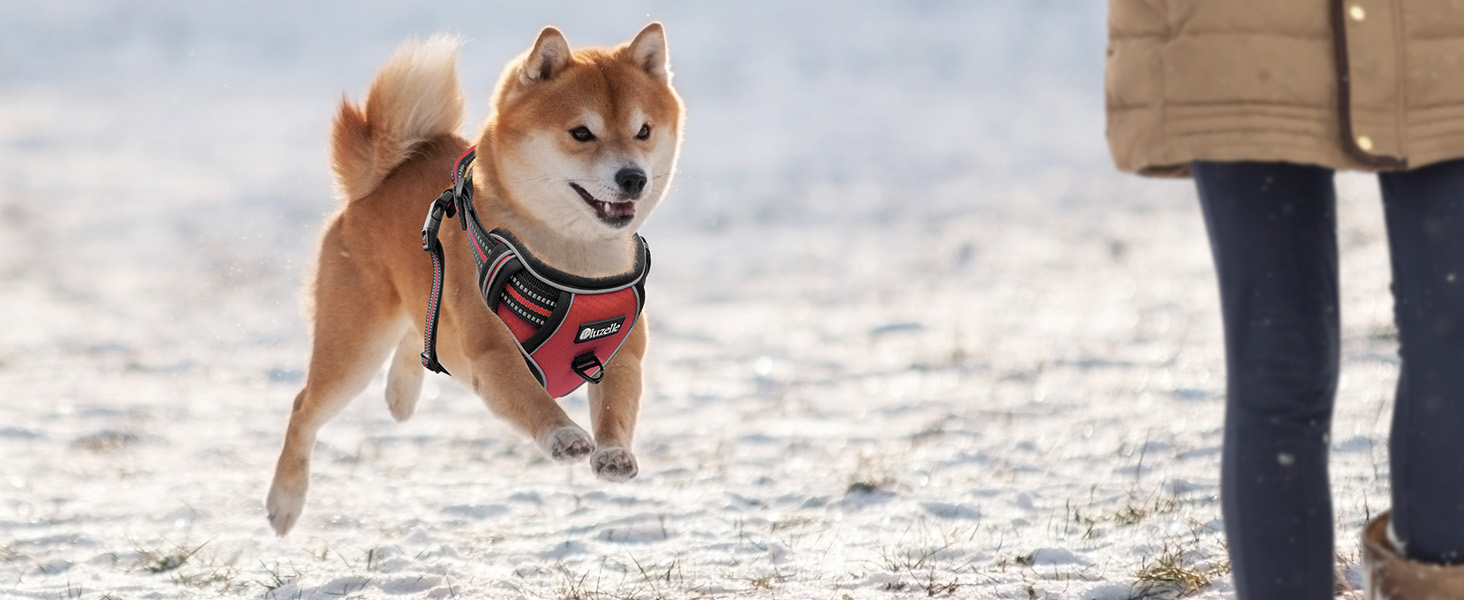 Шлейка для собак середніх порід Bluzelle з ручкою та кишенею для GPS-трекера, світловідбиваюча, дихаюча, зелена (XS, червона)