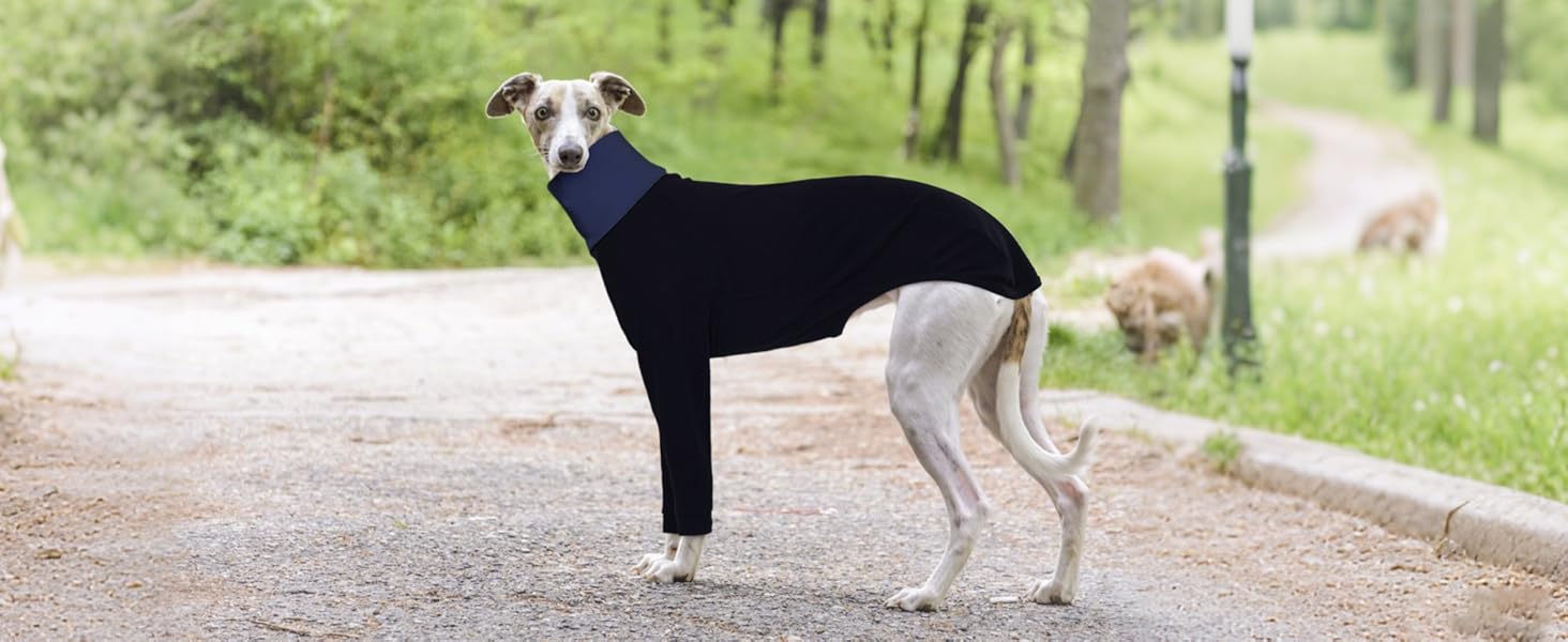 Теплий плед-пуловер для Whippet, Greyhound та інших породистих собак. Плед-пуловер, тепла піджака для собак, фліс, піжама для собак (оливковий, чорний, XL)