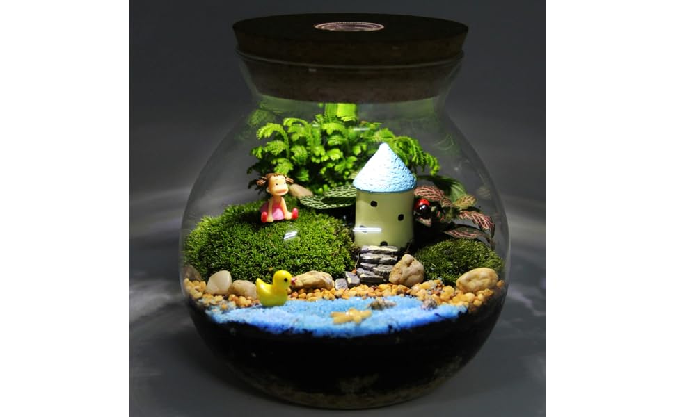 Скляна ваза-акваріум Balacoo для міні-ландшафту, тераріуму, рибок, з підсвічуванням, 14x13x13 см, біла