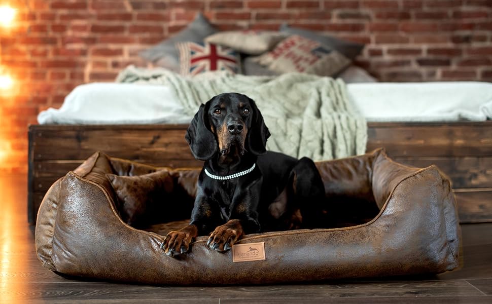 Ортопедичне ліжко для собак Tierlando® Alberto у вінтажному стилі, знімний велюровий чохол, 120x85 см, колір: світло-коричневий