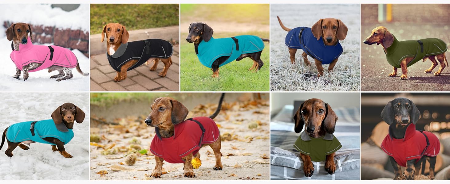 Зимовий теплий накид для такси, чорний L. Водонепроникний, з захистом живота та отвором для повідка. Ідеальний для великих собак.