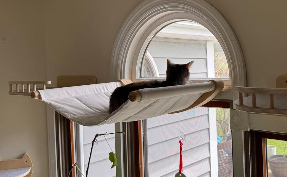 Кішка Wandregale (стійка) Katze Wandhängematte (гамак) Katze Wandbett (ліжко) Katze Wandmöbel (меблі) для котів - для лазіння та відпочинку