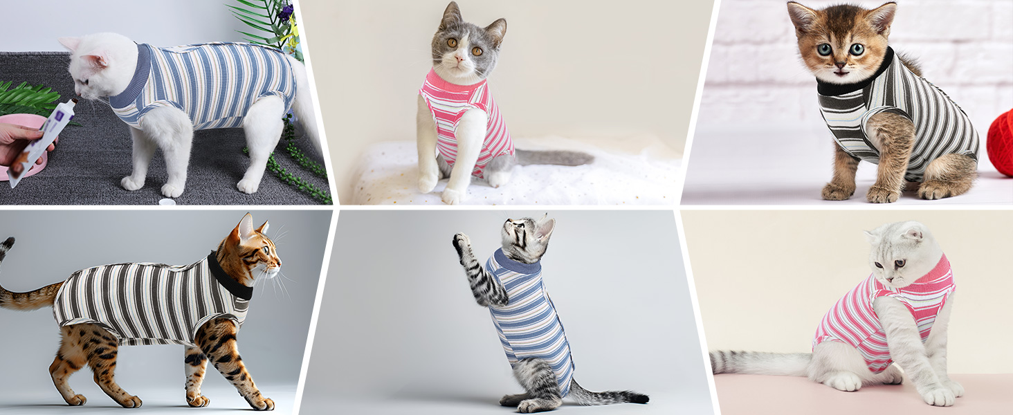 Одяг для котів після операції Citétoile: Комбінезон для захисту рани, альтернатива електронного комірця, рожевий, розмір M