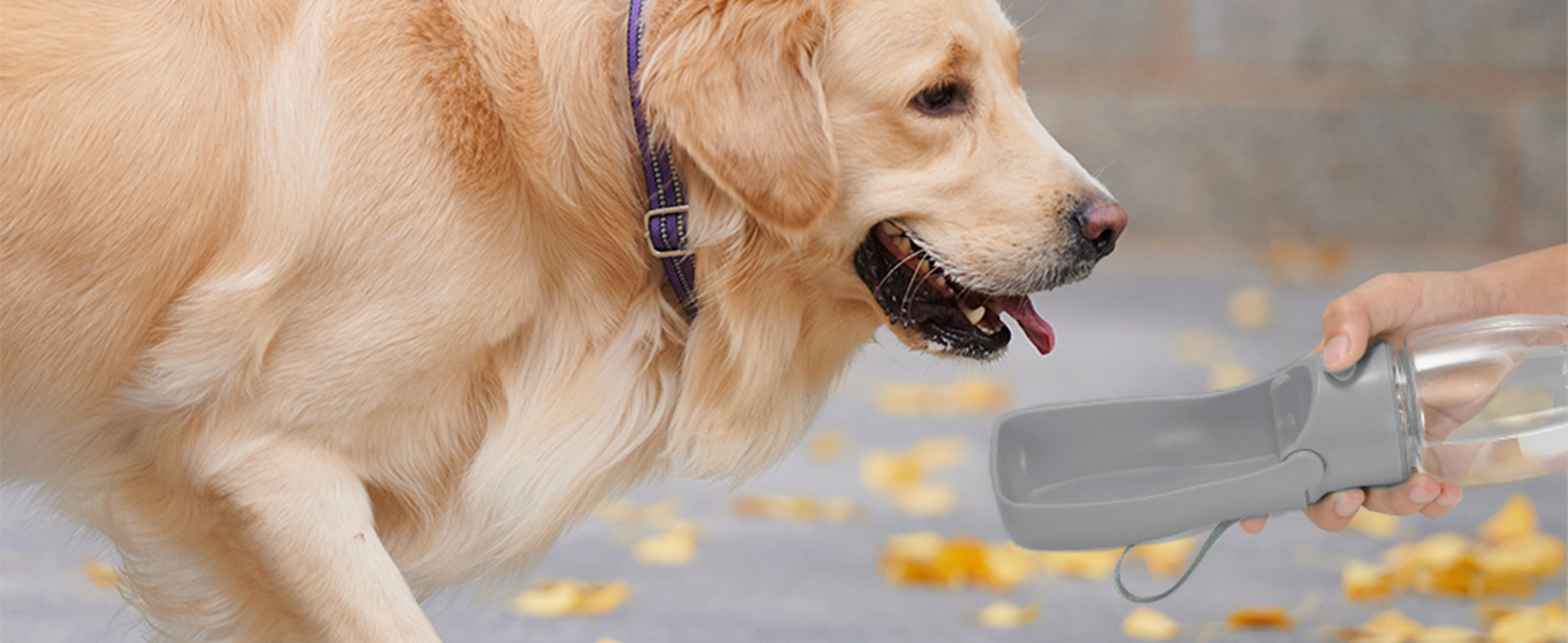 Водяна пляшка для собак на прогулянку 570мл або 350мл - портативна фляга для цуценят, малих, середніх та великих собак (Сірий)