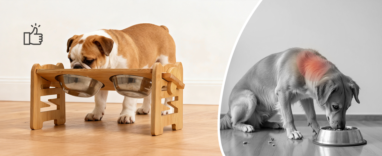 Підвищена годівниця для собак RLAVBL з бамбука, регульована, для повільного годування, з 2 нержавіючими мисками, антиковзаючі підкладки, для собак та котів