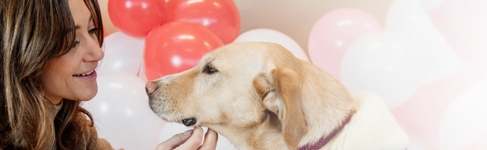 Kentucky Dogwear: Плетений нашийник для собак з нейлону Бордовий, розмір S, 42 см