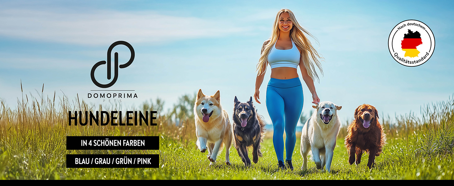 Рулетка для собак DOMOPRIMA, 3 розміри (S, M, L), 4 кольори (сірий, блакитний, зелений, рожевий) - Міцна та безпечна рулетка з відбиваючим ремінцем. Зелена, L