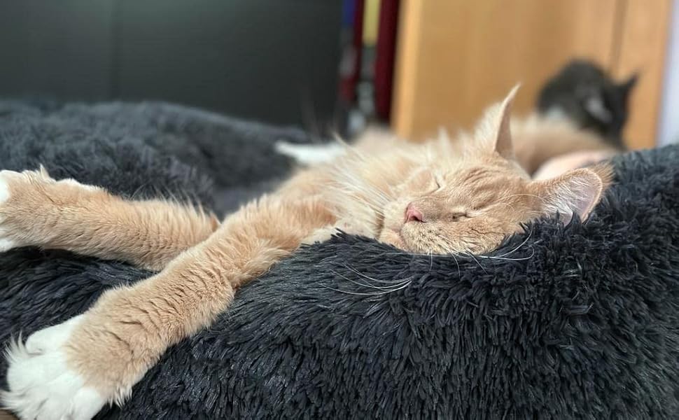 Кругле ліжко для собак та котів Lucky Sign, 70 см, м'яке, плюшеве, сіре, XL