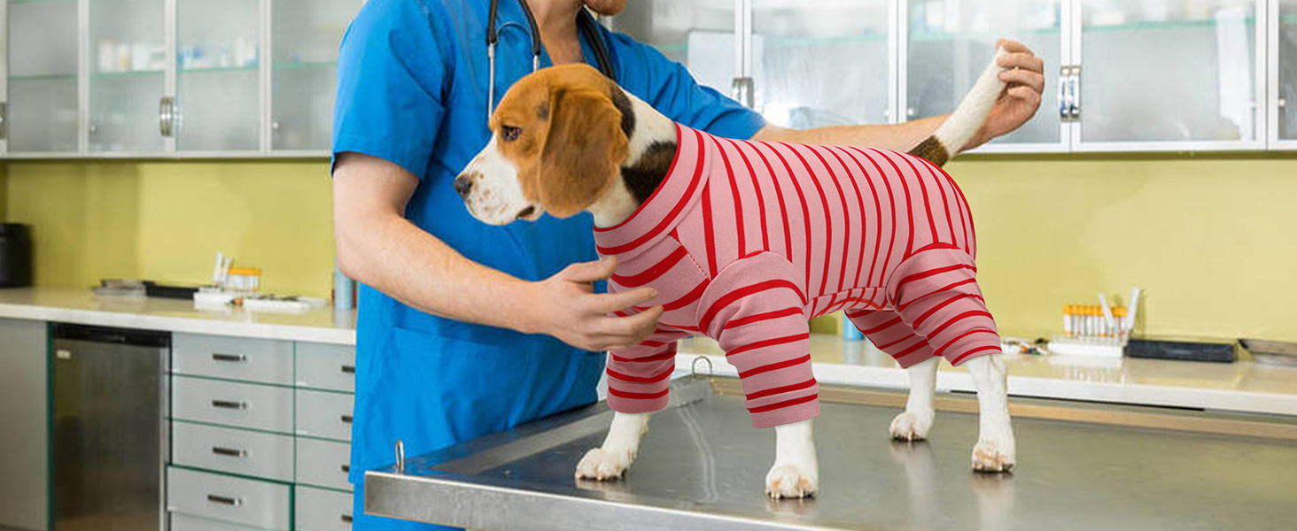 Корсет для собак після операції, після кастрації, для собак, з ніжками, піжама для маленьких та середніх собак, зелений XS