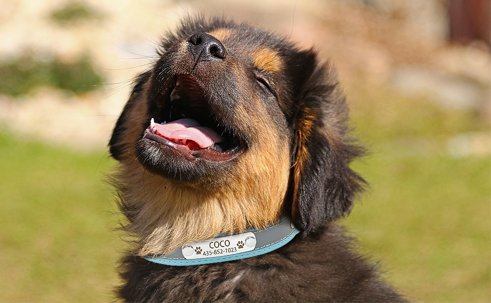 Іменний світловідбиваючий нашийник та поводок для собак та котів Senristar, блакитний комплект. Персоналізований нашийник з гравіюванням, XS (ширина 1,5 см, обхват шиї 19-25 см)