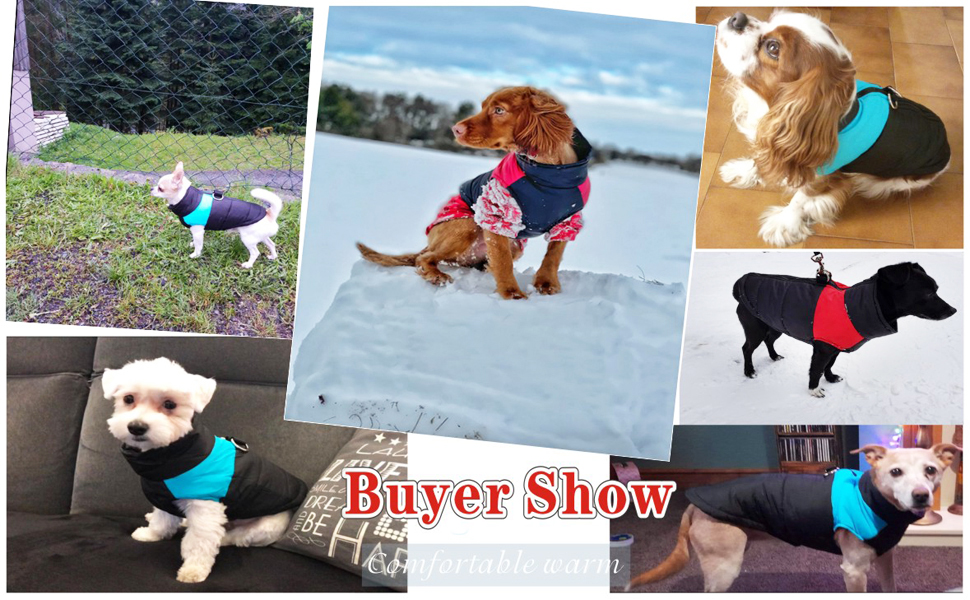 Теплий зимовий одяг для собак Idepet: куртка-мантія, водонепроникна, для маленьких, середніх та великих собак, котів (M, Рожевий)