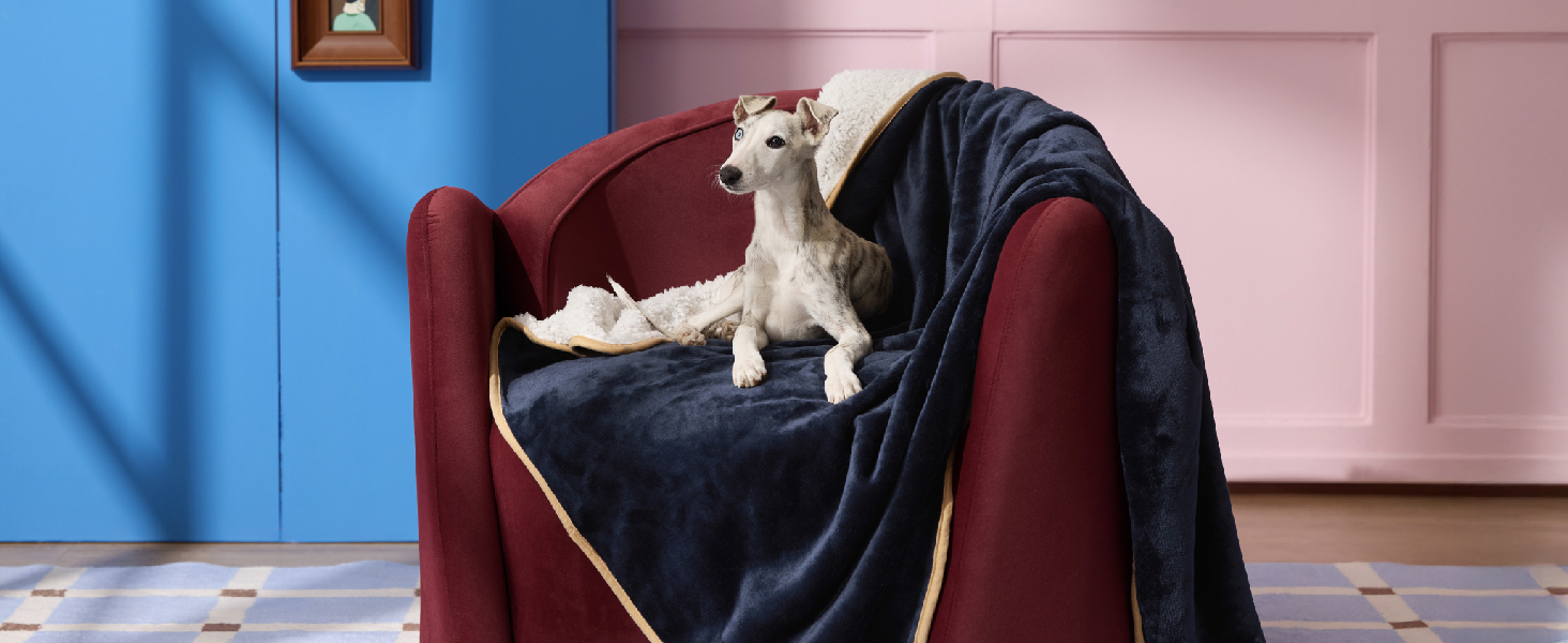 Водонепроникний коврик для собак середнього розміру 80x100 см, миючий, м'який, кремовий колір