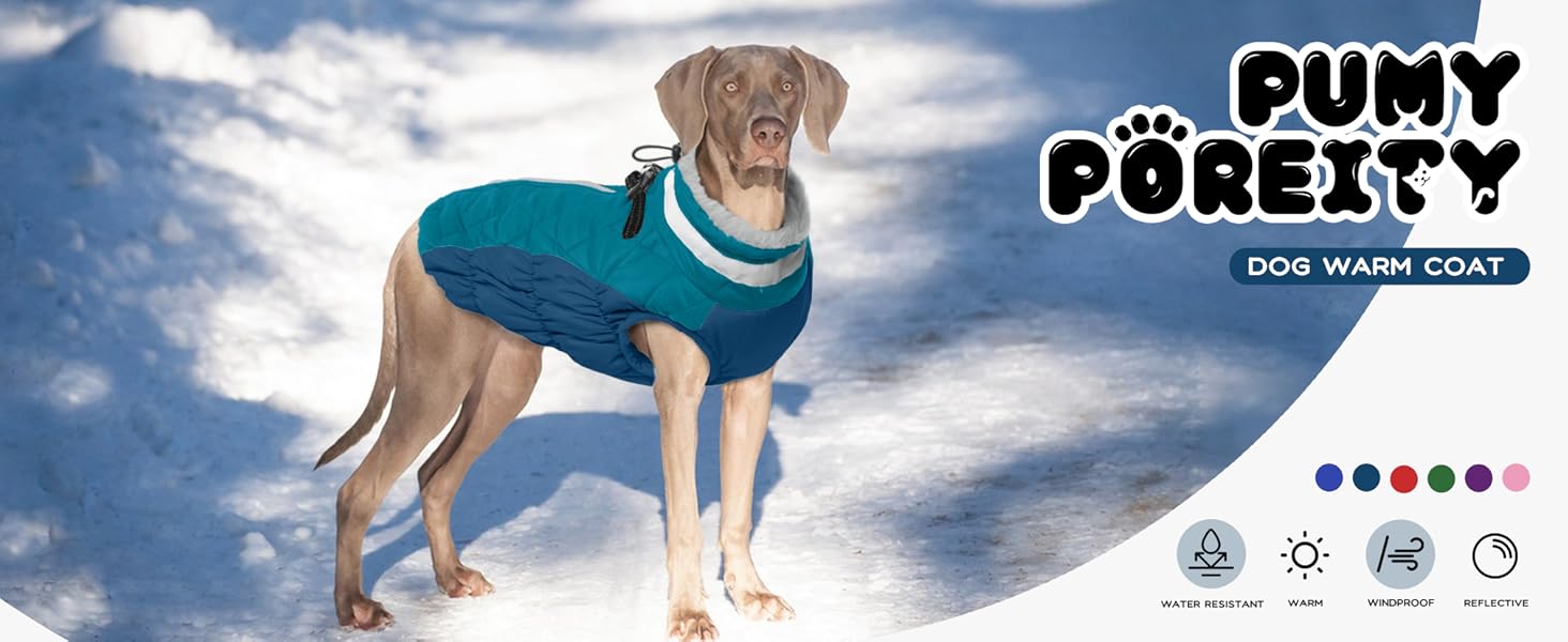 Зимовий теплий одяг для собак - куртка, пуловер, жилет для маленьких собак, чихуахуа (XXL, темно-зелений)