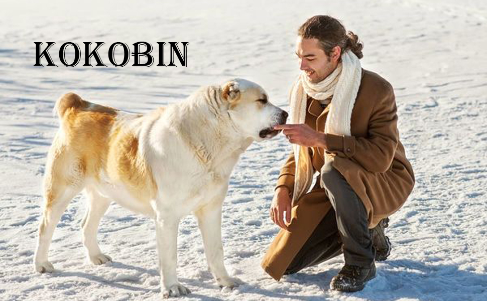 Водонепроникна куртка для собак KoKoBin з капюшоном, сіра, розмір L