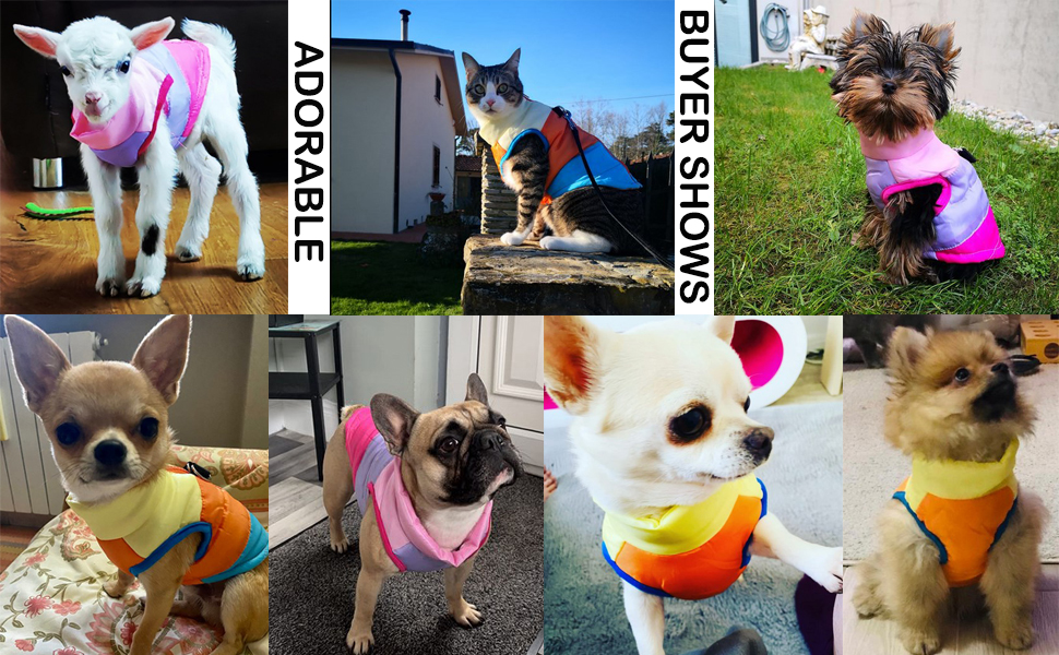 Зимовий теплий водонепроникний одяг для собак Idepet: куртка, пуловер, костюм для снігу. Розміри XS, S, M, L, M Rose