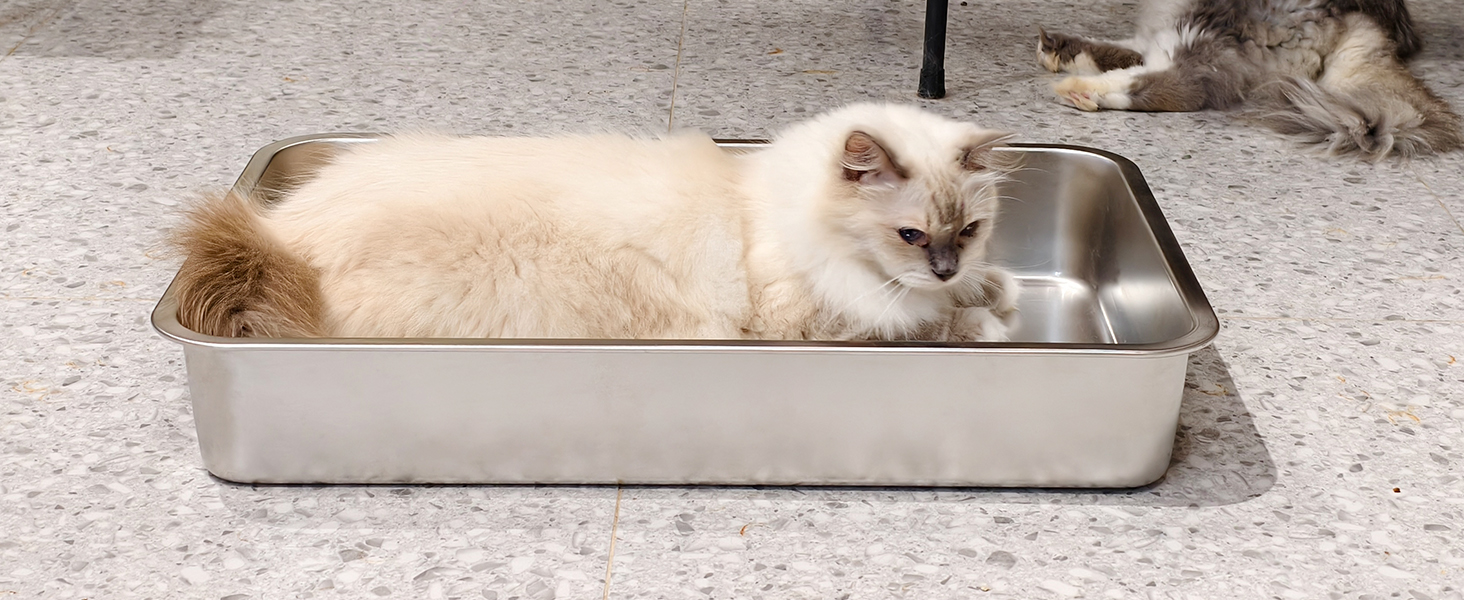 IKITCHEN Великий лоток для котів з нержавіючої сталі (50x35x20 см), туалет для котів та кроликів, без запаху, без плям, антикорозійний, з гладкою поверхнею та антиковзким гумовим дном