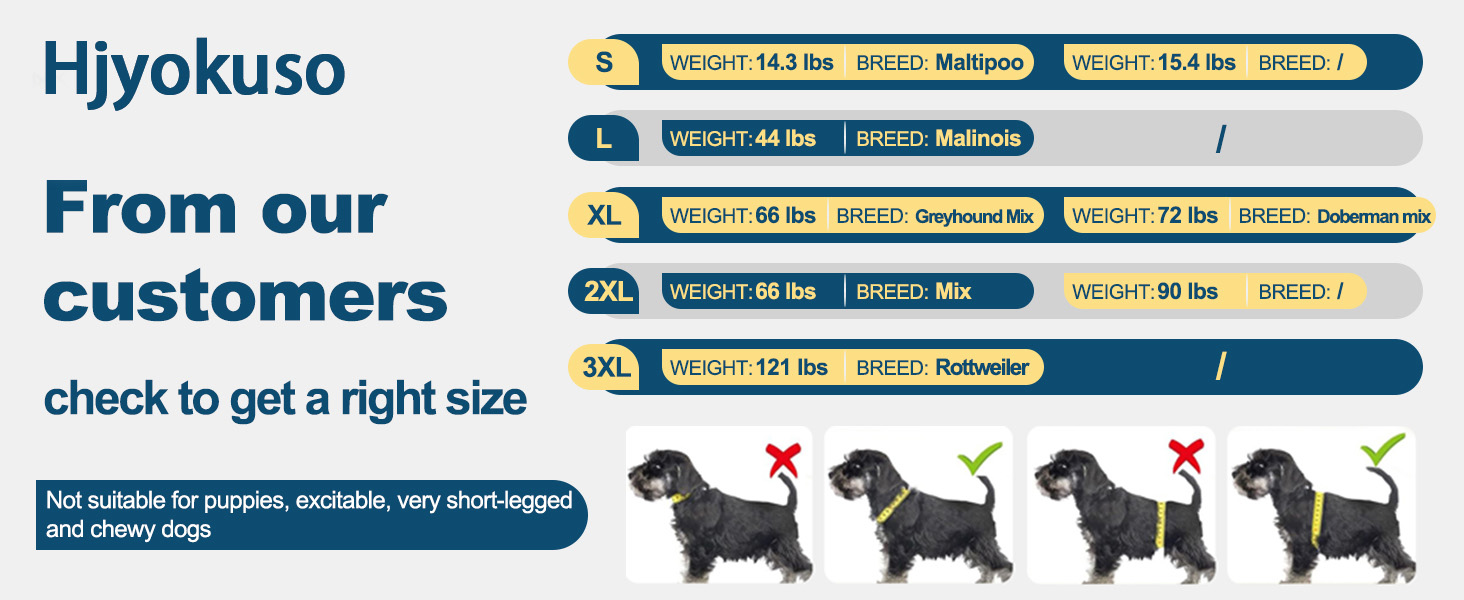 Комбінезон для собак після операції на ногах, захист від витікання, запобігає інфекціям, розмір XL, фіолетовий