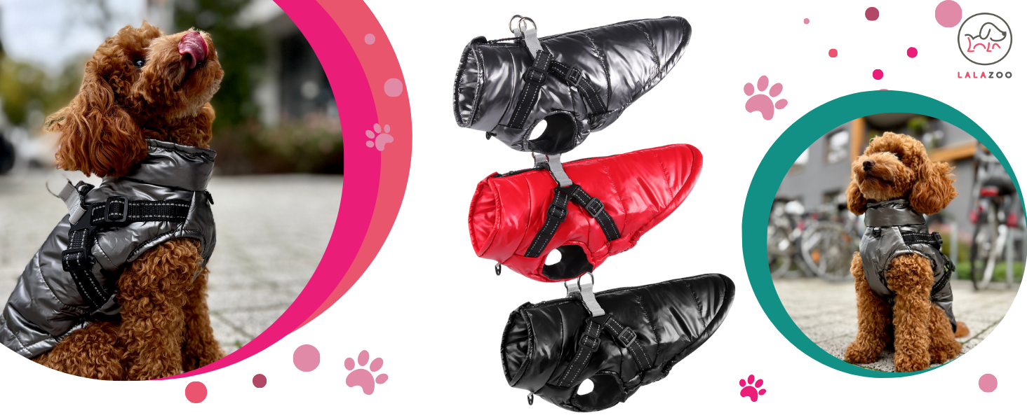 Водонепроникна куртка для собак 2-в-1 зі вбудованим шлейкою – зимова куртка з відбиваючими елементами для собак маленьких, середніх та великих порід – вітронепроникна, зручна та легка у догляді, сіра, розмір S