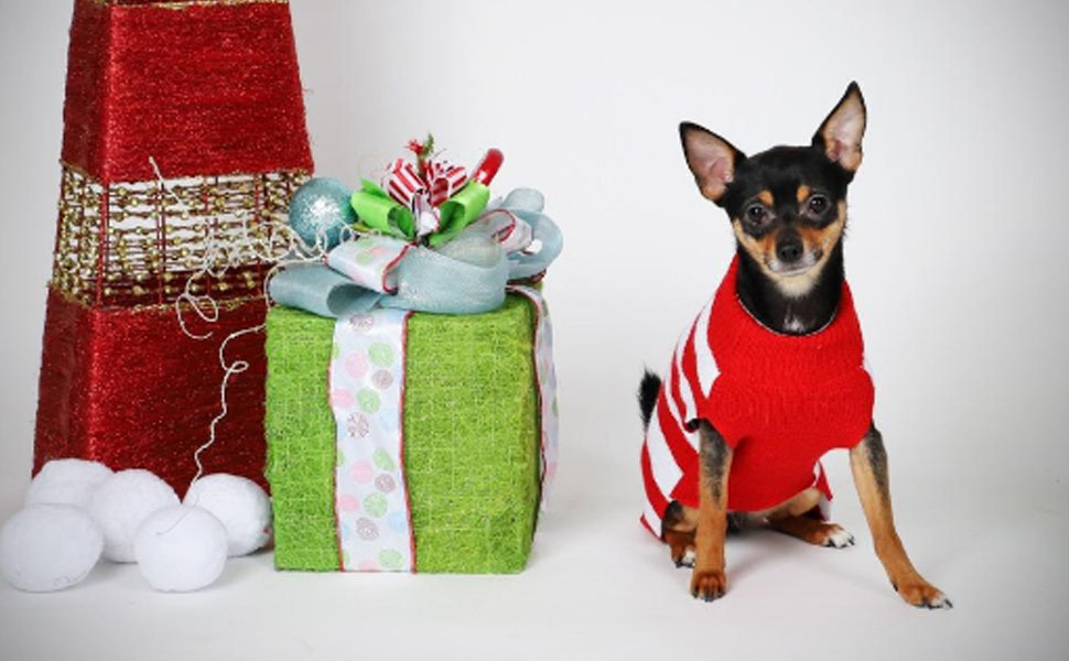 Пуловер для собак на Новий Рік: теплий в'язаний пуловер для домашніх тварин, теплий, модний, для святкування, подарунок, розмір XXL