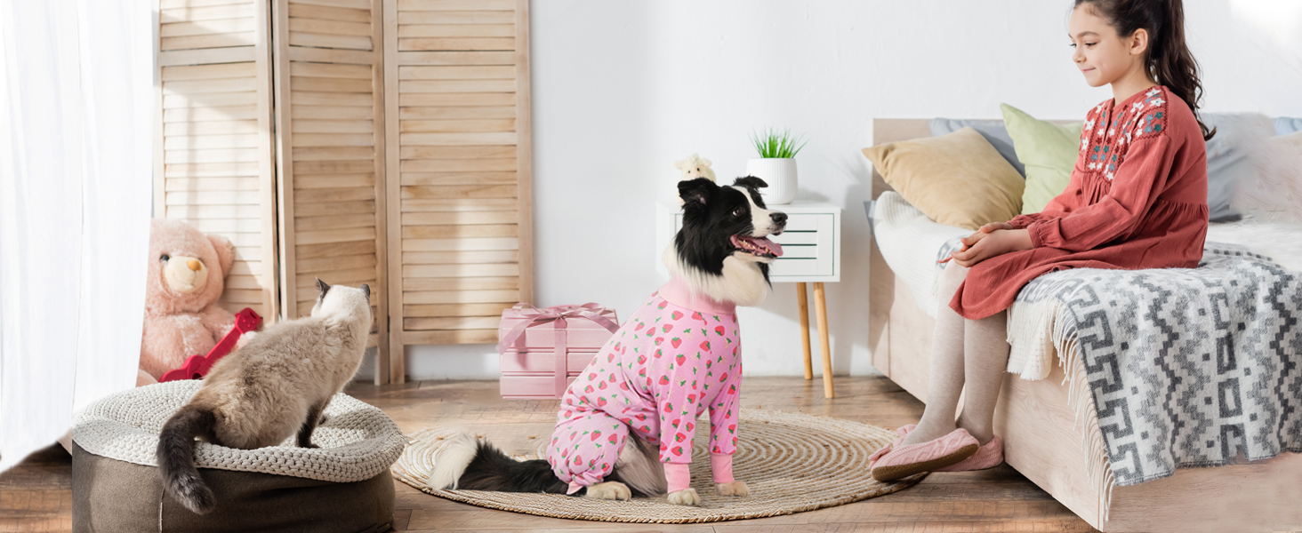 Захисний боді для собак після операції: для сук та кобелів, дихаючий, з захистом рани, альтернатива E-Collar, розмір XXL, колір полуниця