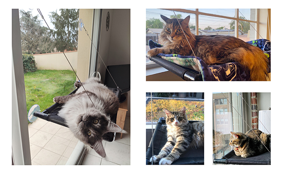 Крісло-гамак для котів Dracarys на вікно | для великих котів до 20 кг | Посилена конструкція з міцними присосками | Лежанка для котів, сонячне місце, лежанка для домашніх тварин, підходить для вікон шириною ≥76 см та висотою ≥64 см, розмір 68*38*58 см