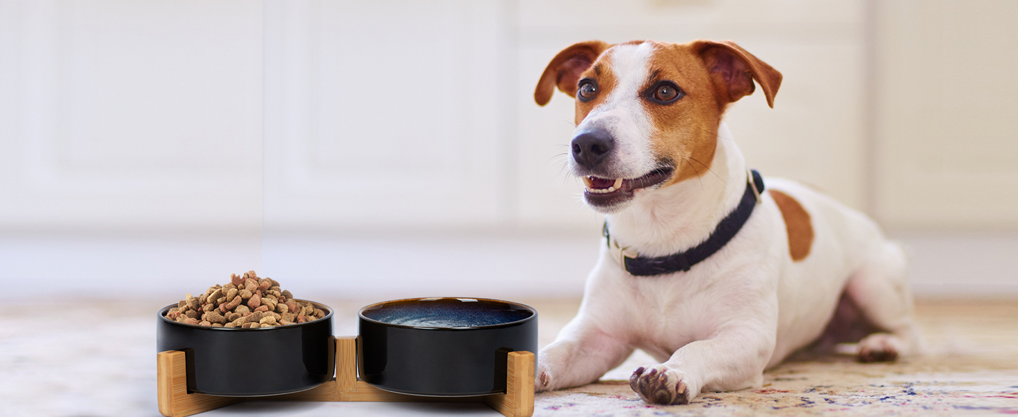 Набір мисок для собак та котів SPUNKYJUNKY з кераміки, 2 шт., 400 мл, блакитний, з підставкою з бамбука