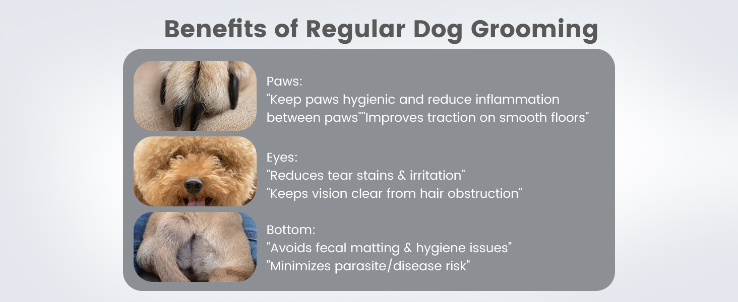 PAPMINI 2-в-1 триммер для когтів та стрижка когтів для собак, безшумний, акумуляторний, для великих, середніх та маленьких собак, білий