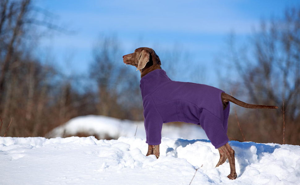 Зимовий теплий пуловер для собак, флісова куртка для маленьких, середніх та великих собак, вітронепроникний одяг для домашніх тварин з блискавкою, одяг для чихуахуа (XXS-3XL) 3XL фіолетовий