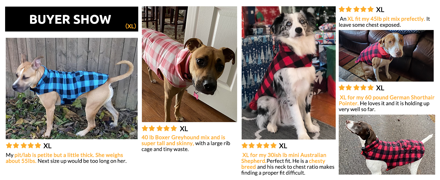 Зимовий теплий дощовик для собак XS, флісова куртка, дощовик для собак, 2 в 1, водонепроникний, вітрозахисний, з отвором для повідка, зелений