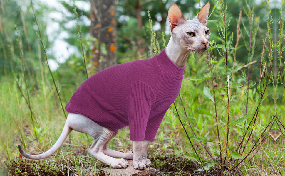 Одяг для безшерстних котів Sphynx: м'який пуловер з ролeкроєм та футболка з круглим вирізом (Чорний, XXL)