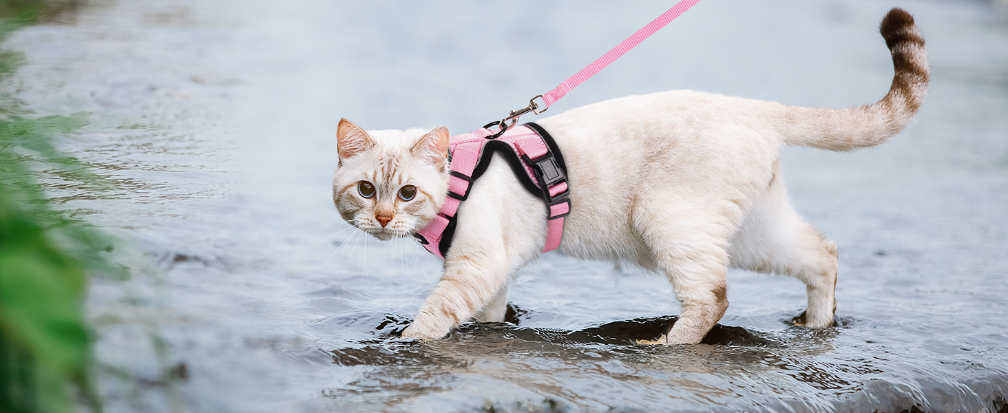 Шлейка для кота Rabbitgoo з повідком, м'яка шлейка для кота, шлейка-жилет для кота, безпечна та регульована, рожева, XS (1 шт.)