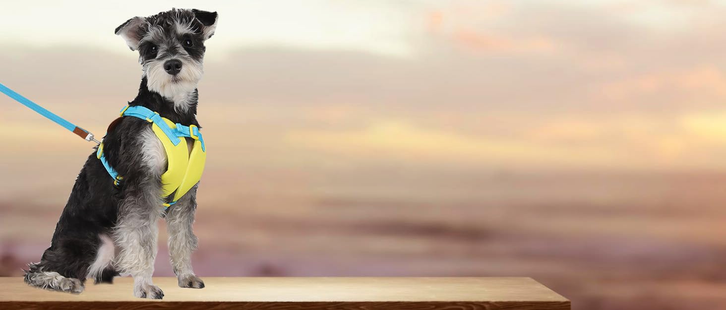 Водонепроникна зимова куртка для собак та котів SMALLLEE_LUCKY_STORE, оранжевого кольору, розмір M