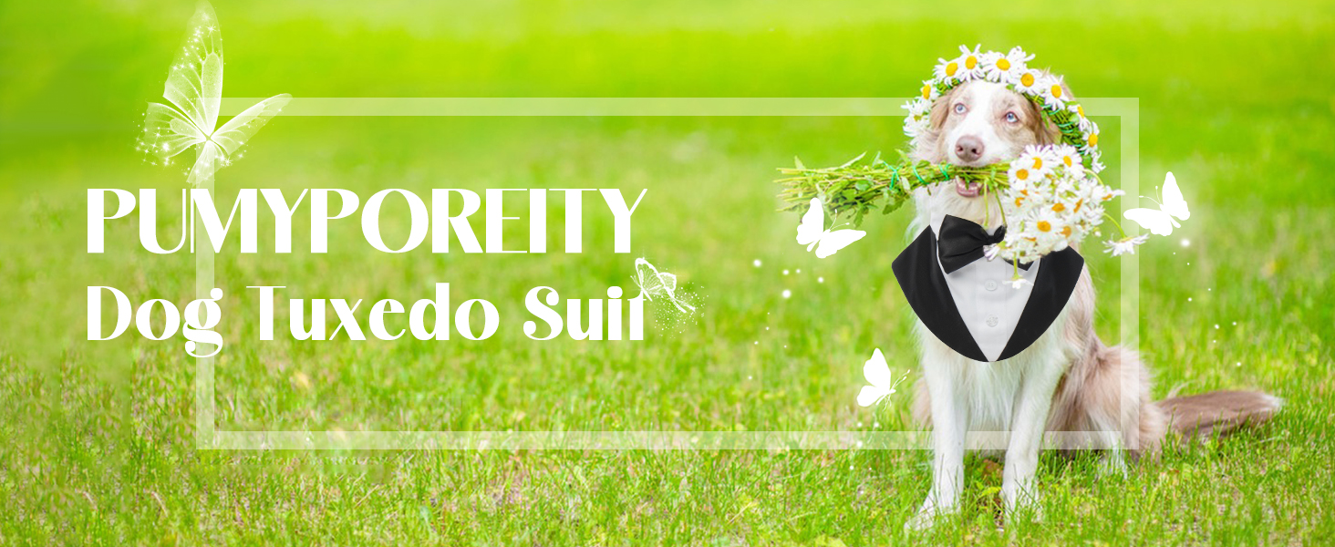 Костюм для собак - святковий набір: смокінг та різдвяний костюм (чорний, XL)