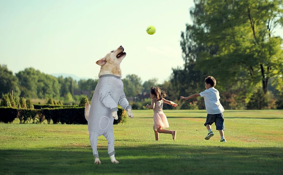 Комбінезон для собак Yeapeeto, 6XL, сірий: для відпочинку, захисту від алергії, випадання шерсті, запобігання лизання ран, альтернатива конусу