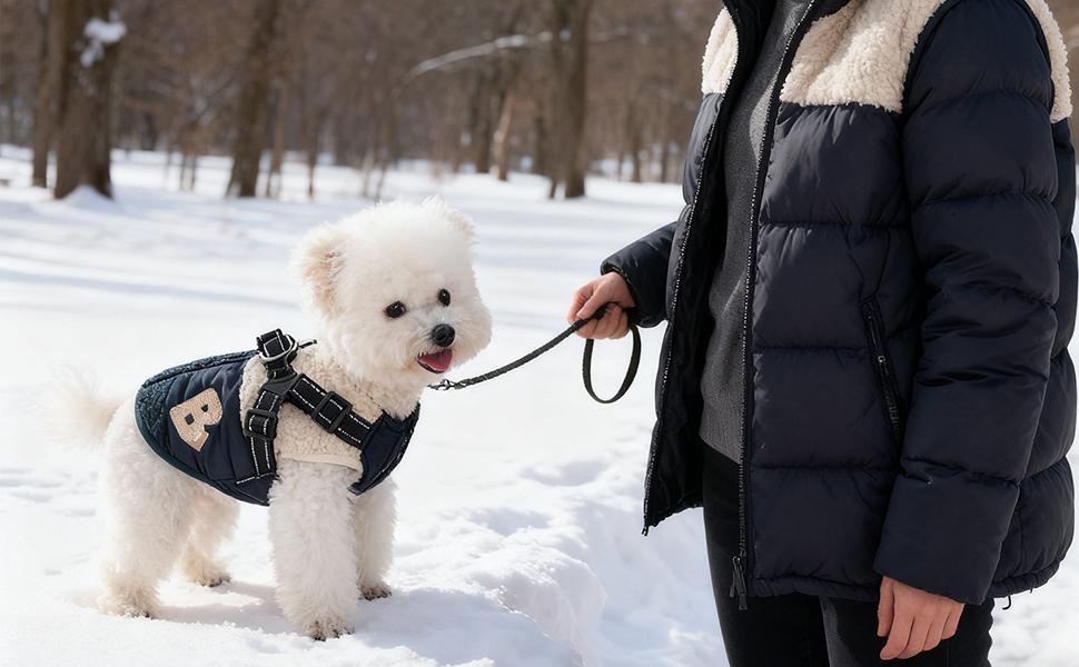 Тепла жилетка для собак з флісовою підкладкою, з отвором для шлейки. Ідеально для прогулянок та активного відпочинку. Підходить для маленьких та середніх собак. Колір: зелено-білий