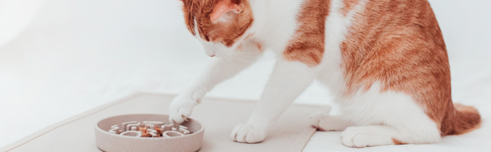 District 70 Повільний годівник для котів з бамбука, діаметр 13,5 см, сірий