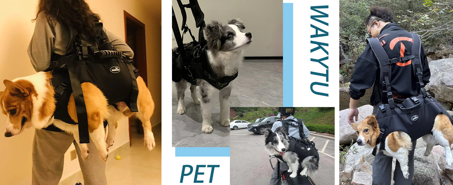 Сумка-переноска та повідок для собак, Wakytu, для маленьких собак (4-8 кг), чорний, регульовані ремені