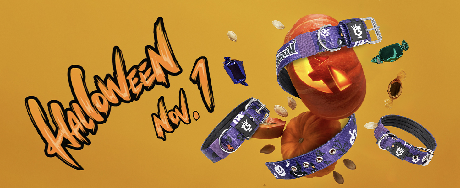 Тактичне обгортання для собак TSPRO, міцне обгортання з металевою застібкою, 3,8 см, регульоване та товсте для собак середніх та великих порід (зелене M), розмір M-H (регульоване 40-48 см), зелене