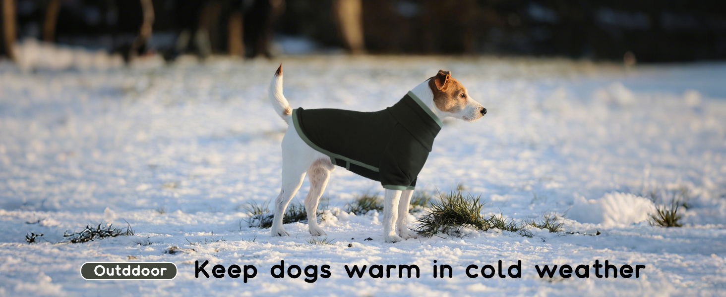 Пуловер для собак маленьких порід, Чихуахуа, Французький бульдог. Зимовий одяг для собак (XL, хакі)