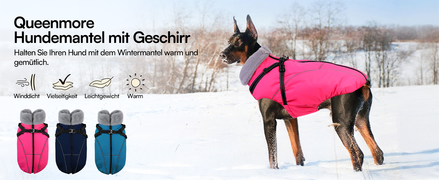 Зимовий теплий водонепроникний одяг для собак Queenmore, куртка для собак з шлейкою, 3-шарова, світловідбиваюча, для великих порід (лабрадор, хаскі, голден ретрівер) (Морська хвиля, 2XL) XXL Морська хвиля