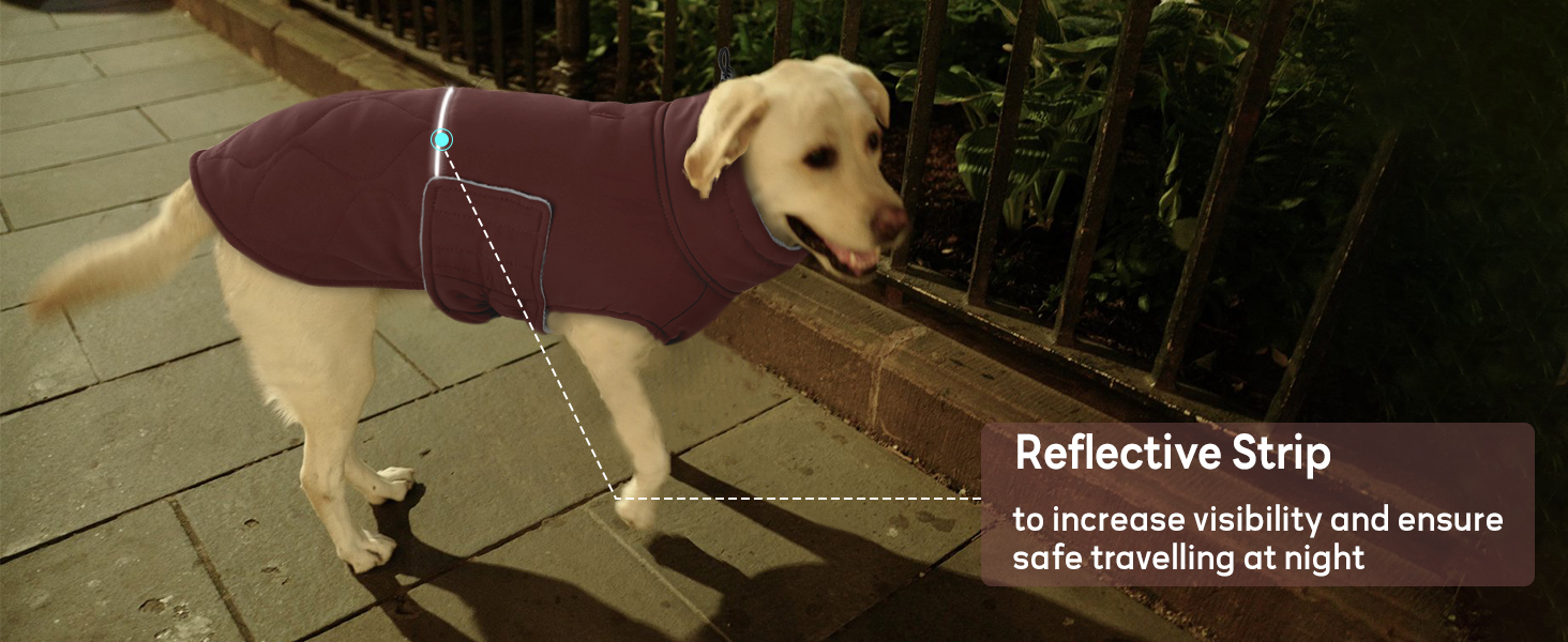 Зимовий теплий одяг для собак маленьких порід: куртка, жилет, теплий костюм для Чихуахуа, Звергшпіца, Йоркширського тер'єра (Армійний зелений, XS)