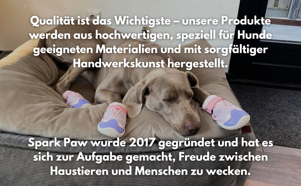 Зручні собачі чоботи Spark Paws – неслизькі, дихаючі, захист лап для літа та походів, міцні, набір 4 шт. – Зелені, розмір 5.0 см | 10-15 кг