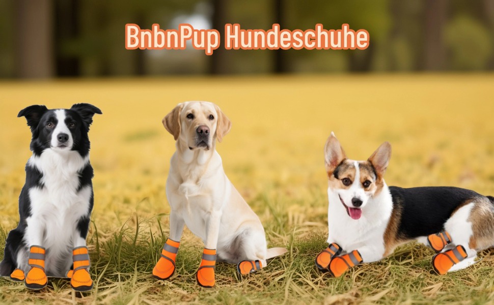 Чоботи для собак: захист лап, антиковзка підошва, для активного відпочинку на природі