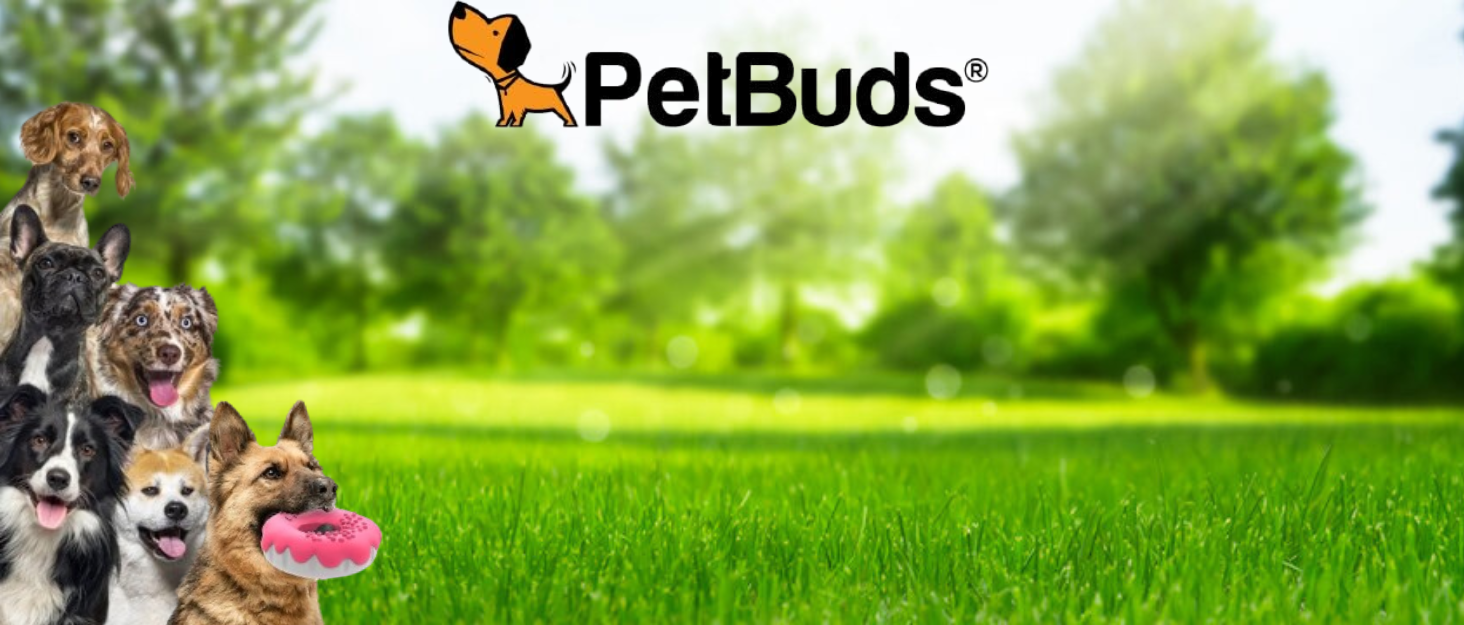 Шлейка проти витягування PetBuds з повідцем, розмір L, чорна