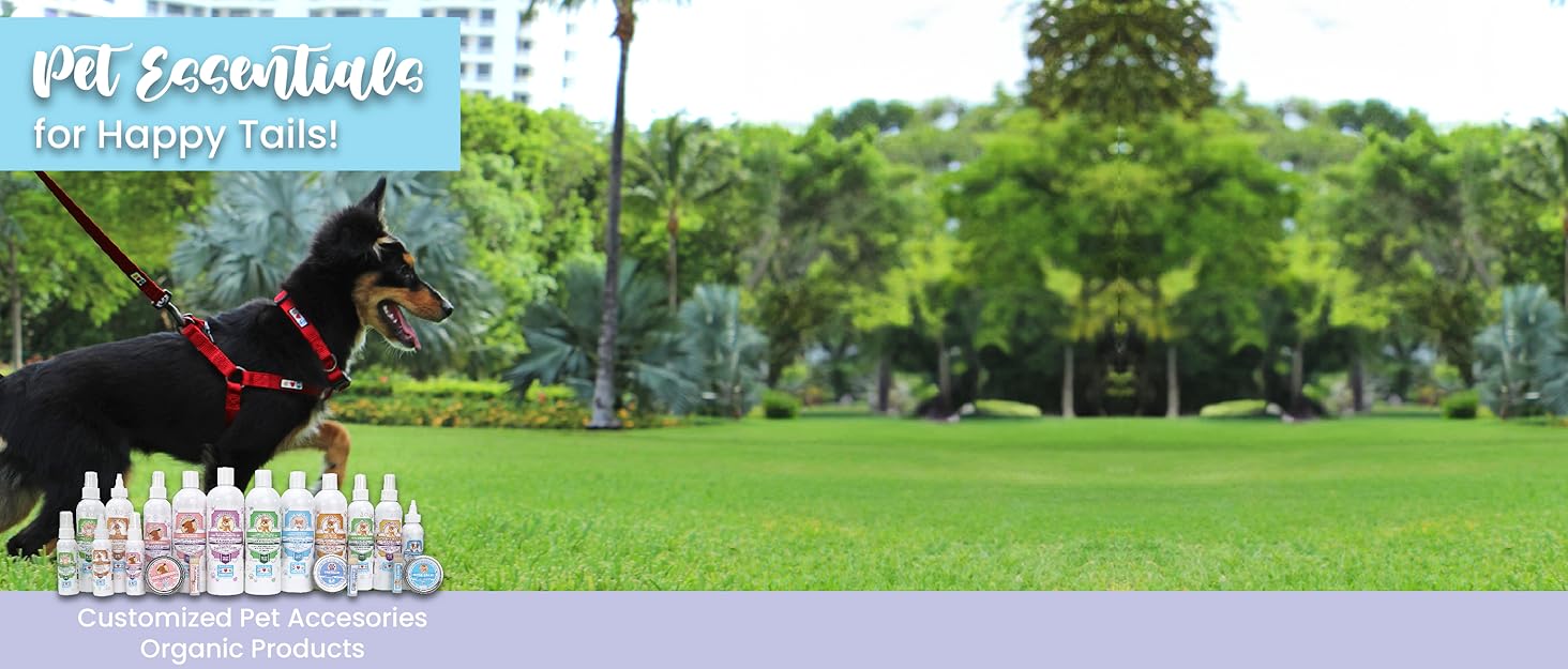 Ветровка для собак Pawtitas, вітронепроникна, водовідштовхувальна, чорно-блакитна, для великих порід, з кишенею, X-Large (упаковка 1)