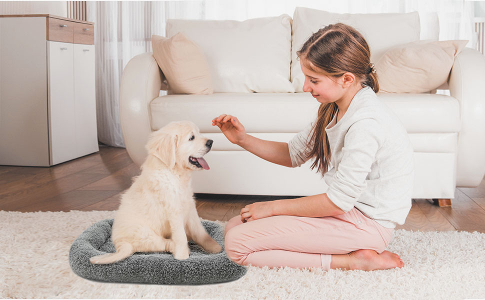 Клітка-ліжко для собак та котів IHONYI, 50 x 37 см