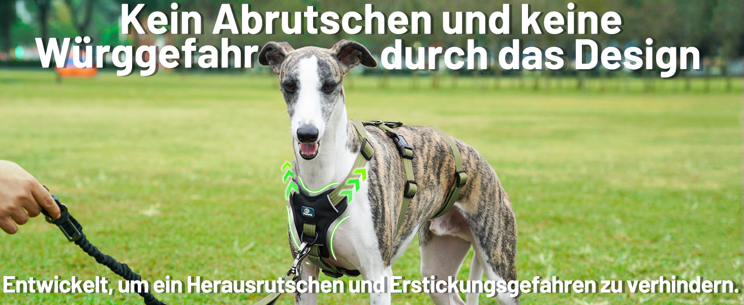 Шлейка для собак Paworld, анти-тяга, шлейка від паніки, анти-вислизання, регульована, дихаюча жилетка для собак маленьких, середніх та великих розмірів (XL) Extra Large (упаковка 1), колір: зелений