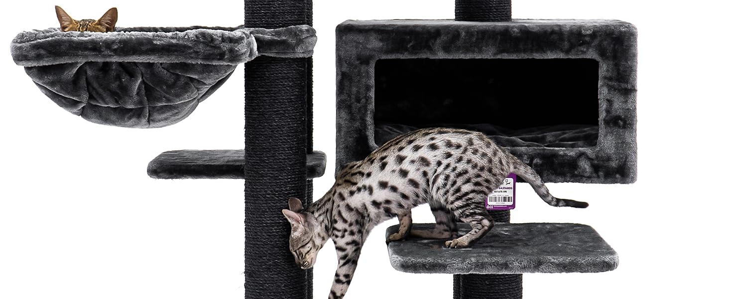 Дряпак для котів Petrebels Maine Coon, Estate, 170 см, XXL, чорний