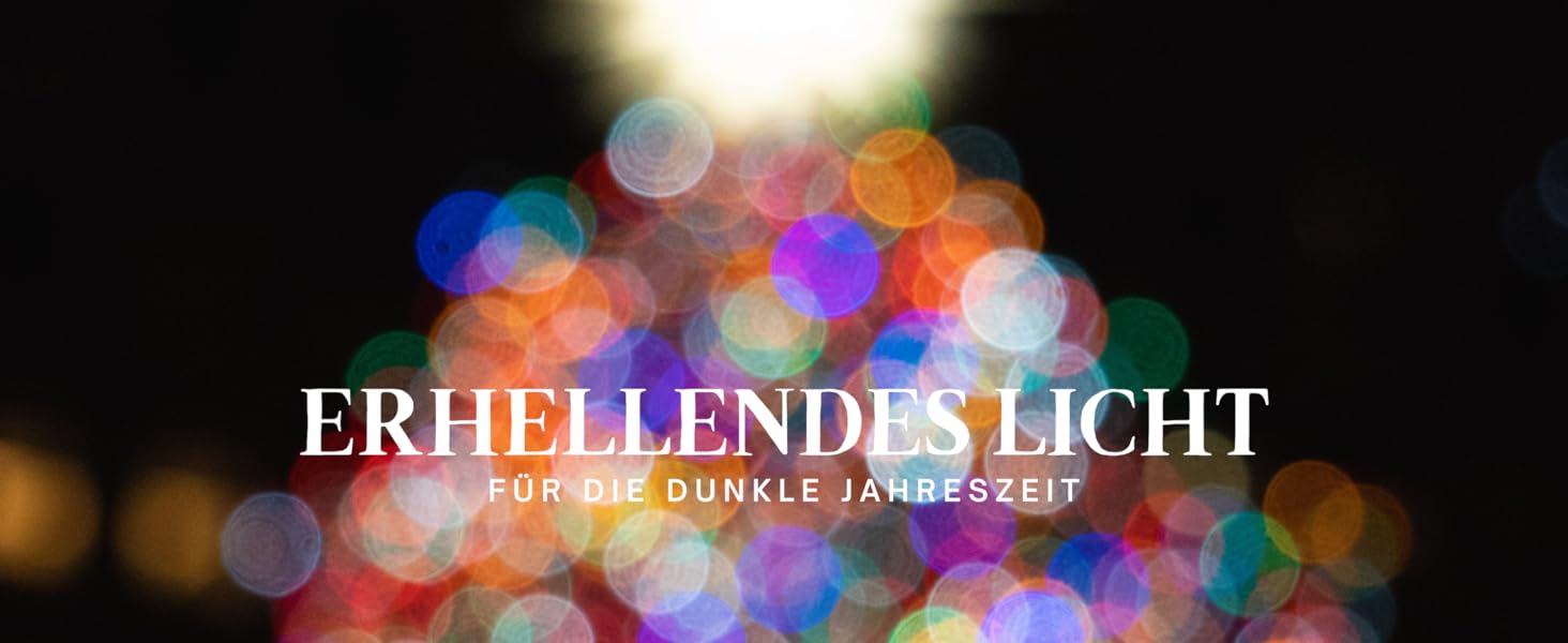 Годівниця для птахів MeLiTec VH04: годівниця-сило для диких птахів з нержавіючої сталі, чорна матова, для саду