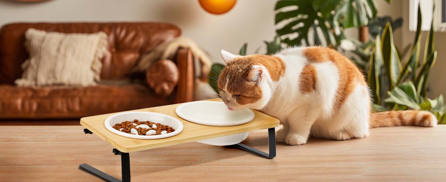 PETTOM Миска для котів протиковзаюча, піднята, керамічна, для повільного годування, біла. Підходить для котів та маленьких собак.